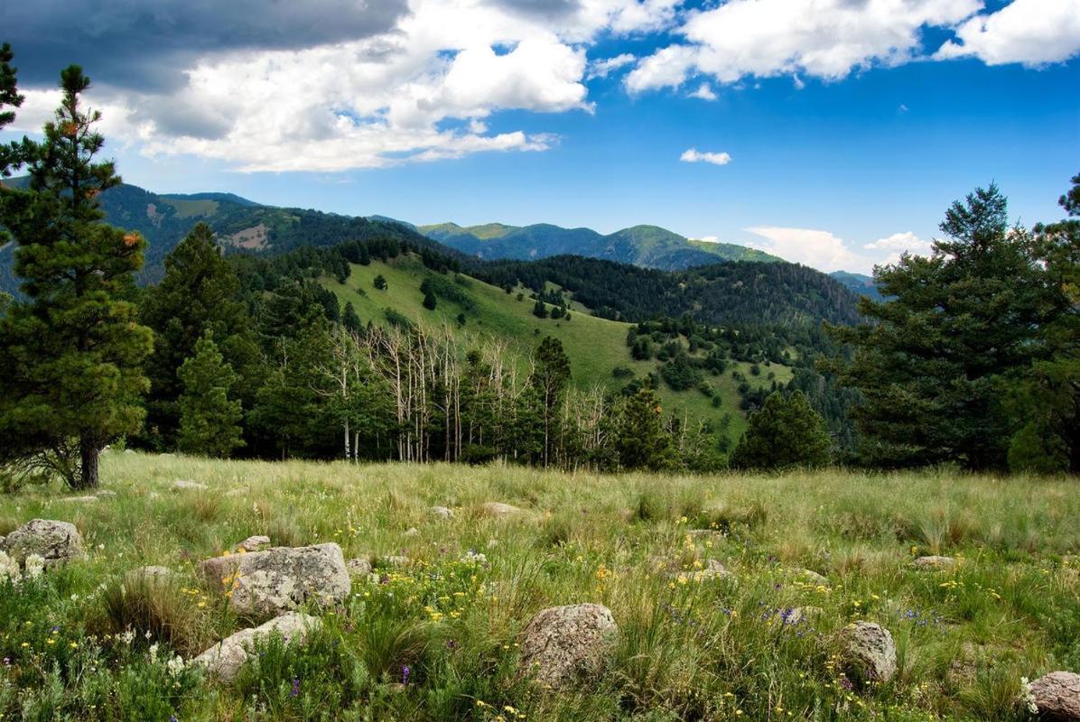 Windchaser, 1 Bedroom, Wood Burning Stove, Midtown, Sleeps 3 Ruidoso Zewnętrze zdjęcie